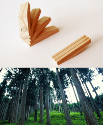 鳥取土産・名物　鳥取県智頭産の銘木「智頭杉」を使ったしーそーまぐねっと