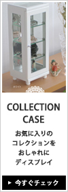 COLLECTION CASE